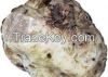 White truffle washed a...