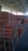 Electric Copper Cathod...