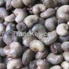 Raw cashew nuts