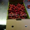 Fresh Dates Khenaizi a...