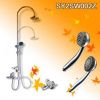 Sliding Rail and Showe...