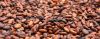 Sun Dried Cocoa Beans(...