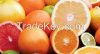 FRESH CITRUS FRUITS