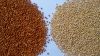 Lentils