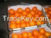Fresh Fruits Orange / ...