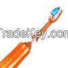 Replaceable Brush Head