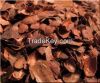 Cocoa Beans Shell