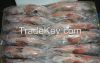 Frozen RED GROUPER