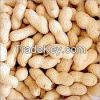 Shelled Groundnuts &am...