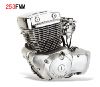 250cc Motorcycle Engine(double-cylinder)