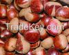 High Quality Fresh Che...