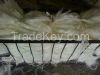 Sisal Fiber(Agave sisa...