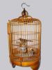 Suspended bird cages