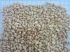 Cheap Pine Nuts Prices...