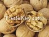 Walnut Kernel / Walnuts Halves 