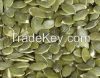 Wholesale PUMPKIN SEED...