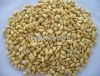 Raw and Roasted Pine N...
