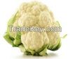 Fresh Cauliflower