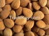 High Quality Apricot k...
