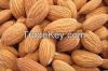 Almonds, Apricot Kerne...