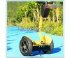 Self-Balancing Electric Chariot