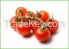 Bunch Coctail Tomatoes