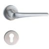 Stainless Steel Door Handle 