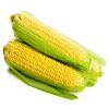 Best Dried Corn