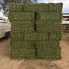 High Protein Alfalfa Hay Bales