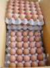 Fresh white eggs