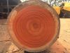 Padauk wood 