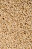 Brown rice 