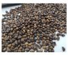 Best Price Organic Wat...