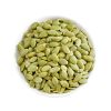 Fresh Pumpkin seed