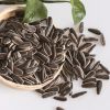 All Kinds of Black White Sunflower Seeds for Oil Extraction from South Africa 