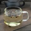 Traditional Castor oil seeds