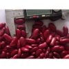 TTN Export Sale Dry Red Speckled Kidney Beans