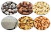 Cashew Nuts W320 W240 Export Cashew Nuts From  Germany