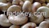 BENIN RAW CASHEW