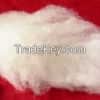 Raw Cotton Wool