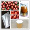 Chinese Date extract Polysaccharide 10%-80% Ziziphus jujube Powder 