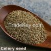 Fresh Vegetable Extrac...
