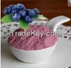 Bilberry Fruit Powder 