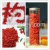   Wolfberry dried frui...
