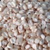 White Dry Maize