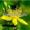 Hot sale Best Quality ...