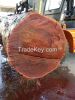 Australian hardwood sp...