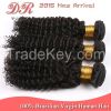 Unprocessed 6A Grade Brazilian Virgin Hair Kinky Curly 3pcs bundles with a Closure Cheap Wholesale Virgin Brazilian Hair Weave