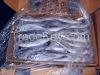 Frozen Horse mackerel