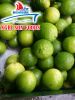 vietnam fresh lime see...